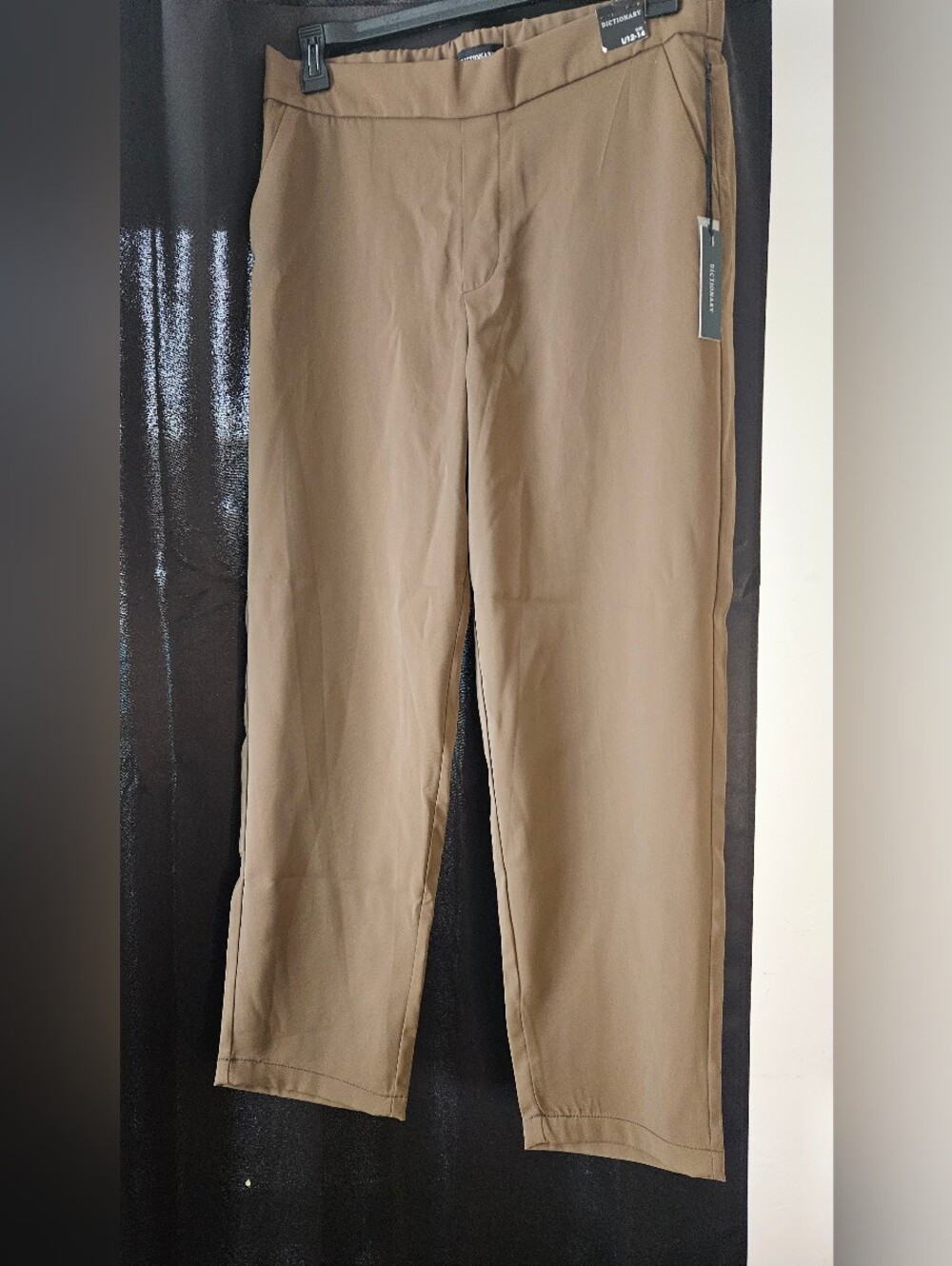 Dictionary Dress Pants in Brown